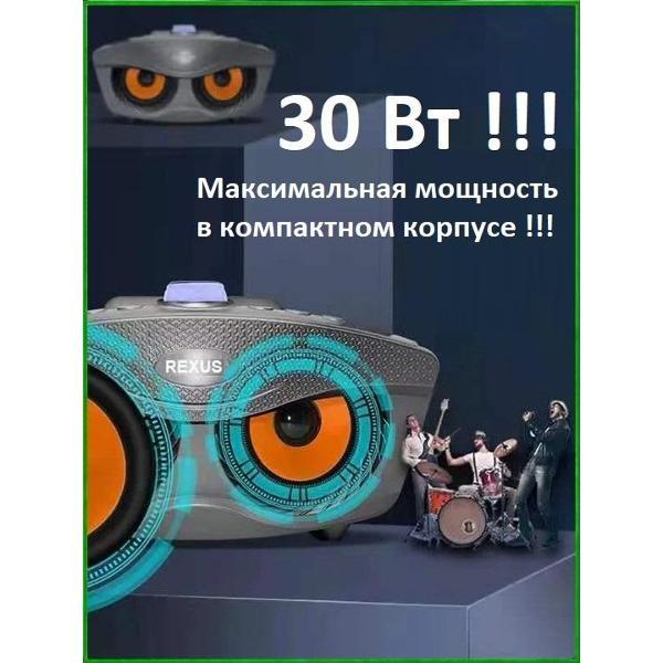 Караоке-система REXUS SD-306 Plus Gray