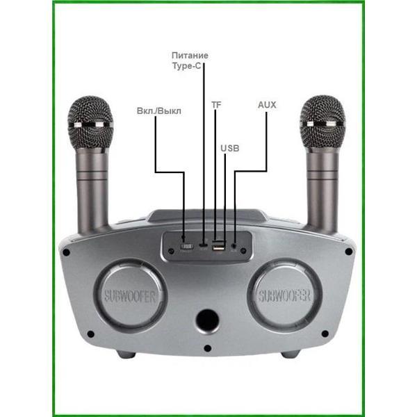 Караоке-система REXUS SD-306 Plus Gray