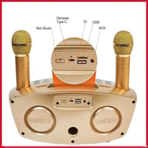 Караоке-система REXUS SD-306 Plus Gold