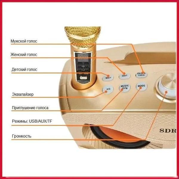 Караоке-система REXUS SD-306 Plus Gold