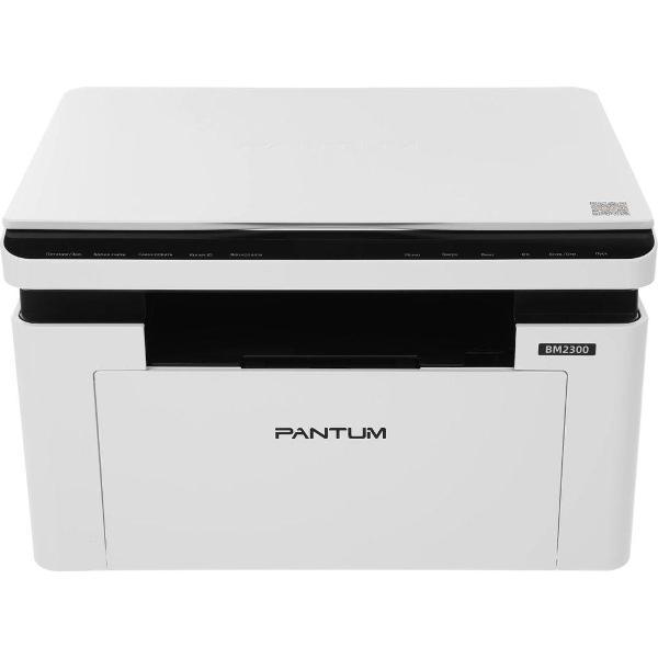 Многофункциональное устройство Pantum BM2300