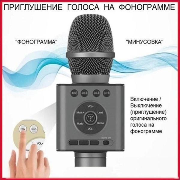 Караоке-система Tosing Q12