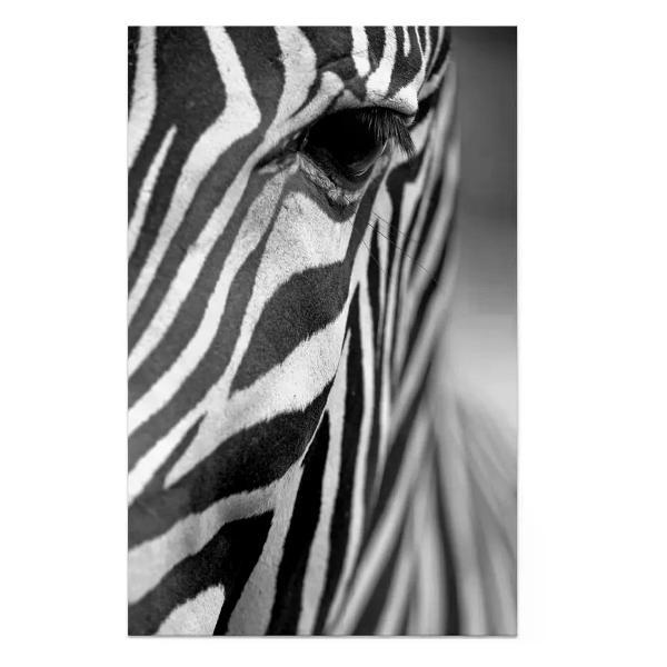 Картина Постер-Лайн BC-370003813