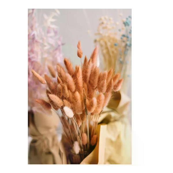 Картина Postermarket BC-370003673