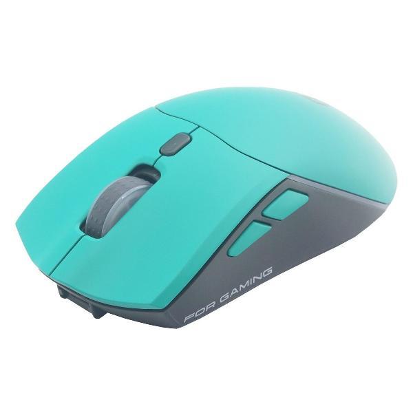 Компьютерная мышь беспроводная Raskat MG009WR