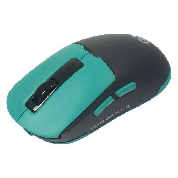 Компьютерная мышь беспроводная Raskat MG027TR