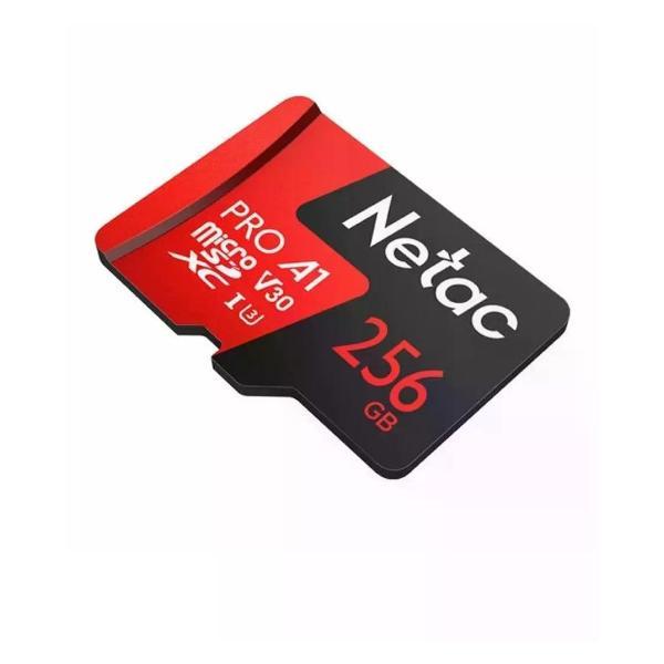 Карта памяти Netac NT02P500PRO-256G-S