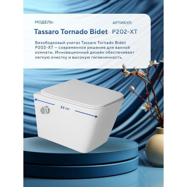 Система инсталляций и смыва Grohe Tassaro Tornado Bidet