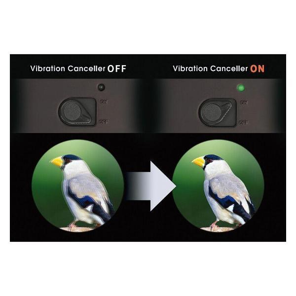 Бинокль Vixen Atera II ED 16x50 WP