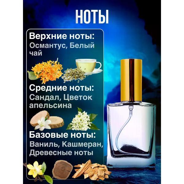 Духи БестПарфюм Devils Intrigue Интрига Дьявола