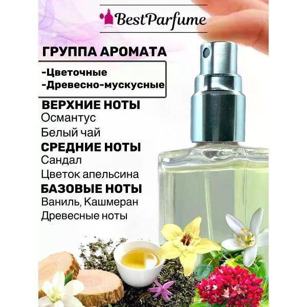 Духи БестПарфюм Devils Intrigue НФС Дьявольские Интриги