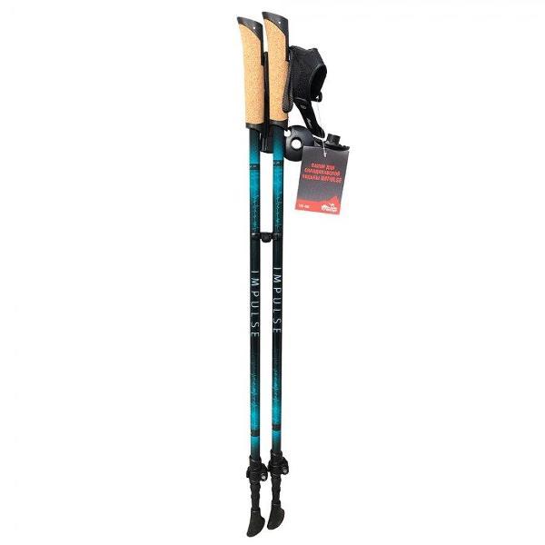 Палки для треккинга Tramp TRR-016 синие