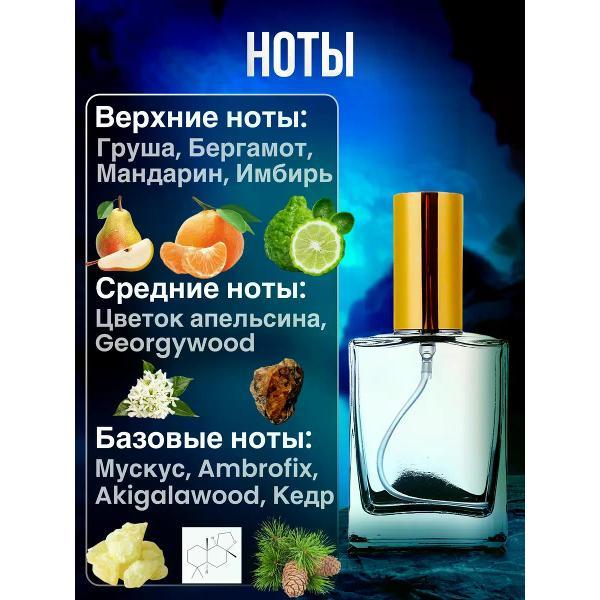 Духи БестПарфюм Blue Talisman Экс Нихило Блю Талисман