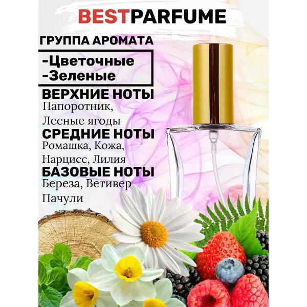 Духи БестПарфюм Amouage Bracken Woman