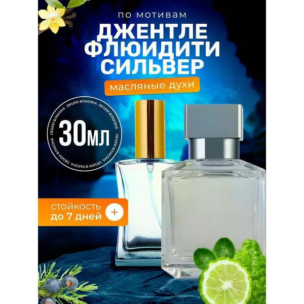 Духи БестПарфюм Gentle Fluidity Silver Флюидити фото