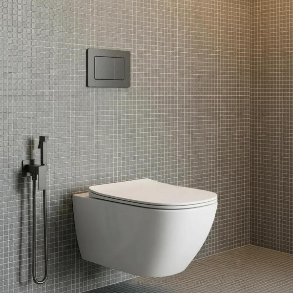Унитаз AQUAme AQM2020PRO-H