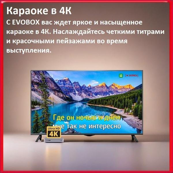 Караоке-система Studio Evolution EVOBOX