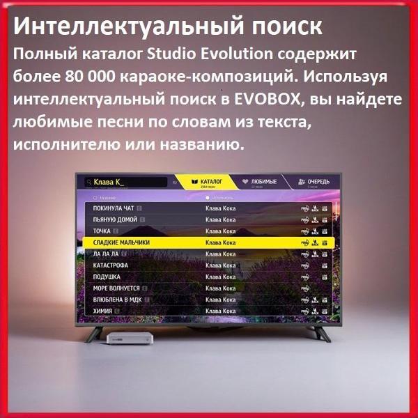 Караоке-система Studio Evolution EVOBOX