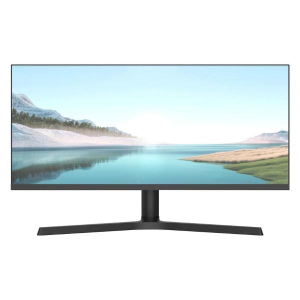 Монитор NPC MZ300L