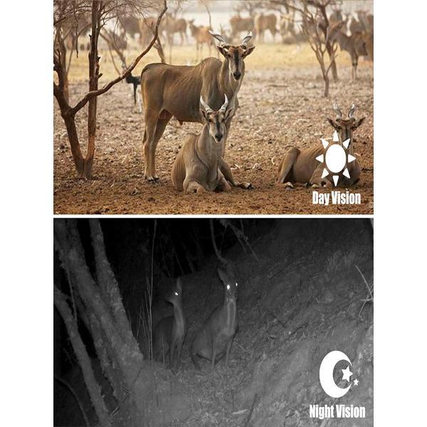 Фотоловушка X-Hunter X-Hunter Pro