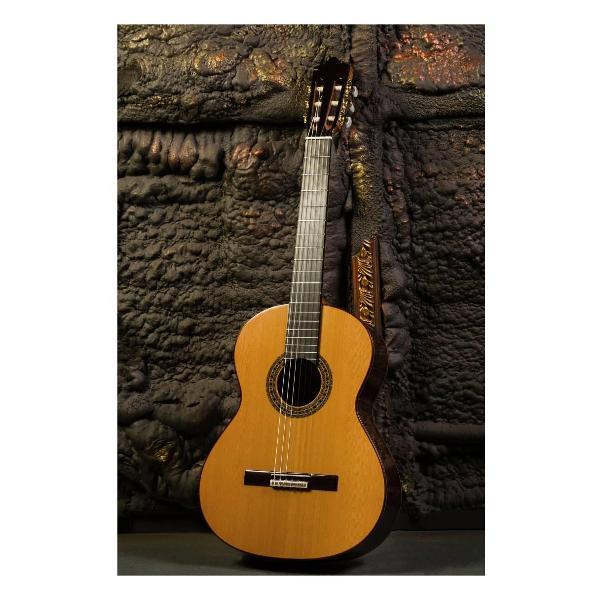 Гитара PEREZ 650 Cedar