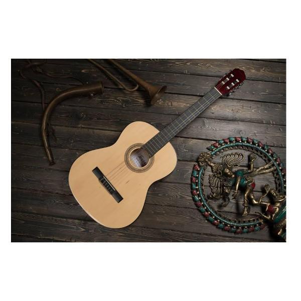 Гитара TERRIS TC-390A NA