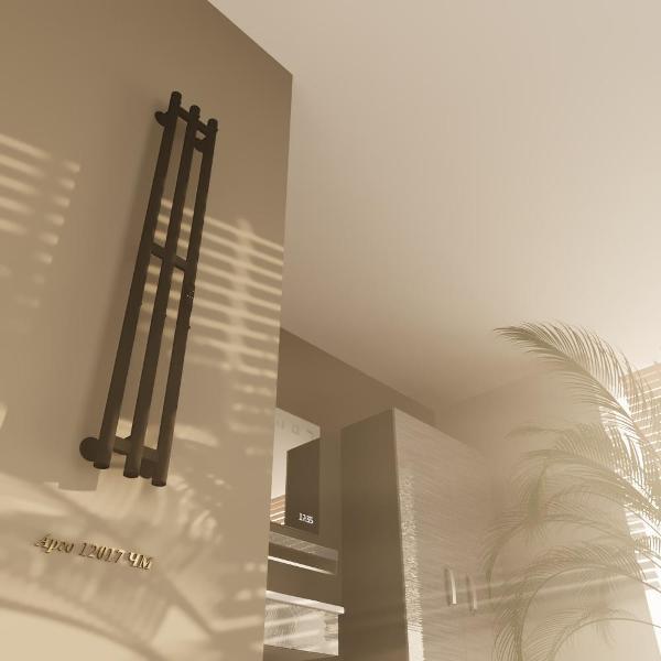 Полотенцесушитель Altasan Арго12017ЧМ