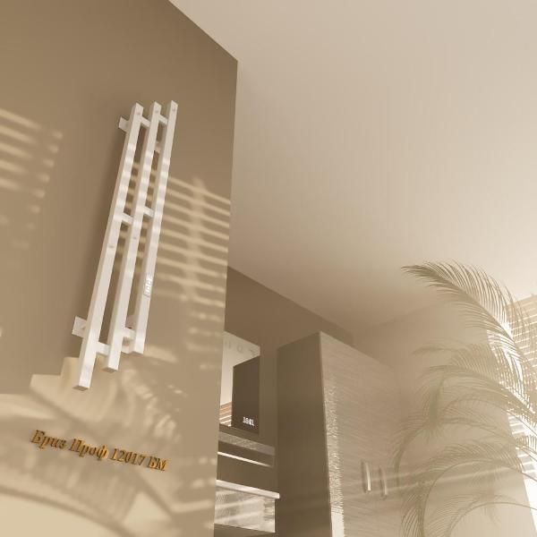 Полотенцесушитель Altasan БризПроф12017БМ