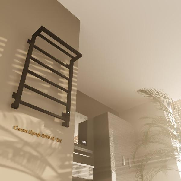 Полотенцесушитель Altasan СкалаПроф8050ПЧМ