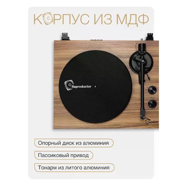 Проигрыватель виниловых дисков Reproductor RP-LPX500