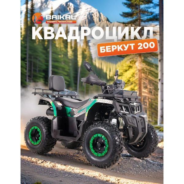 Квадроцикл Baikal-PT Квадроцикл BAIKAL БЕРКУТ 200