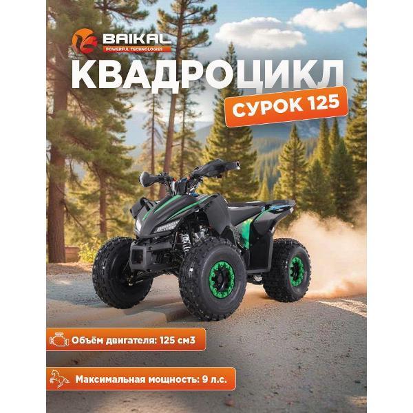 Квадроцикл Baikal-PT Квадроцикл BAIKAL СУРОК 125 (В сборе)