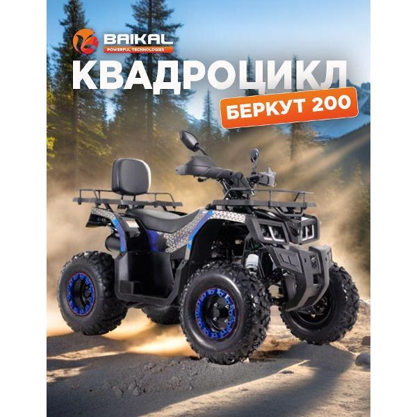 Квадроцикл Baikal-PT Квадроцикл БЕРКУТ 200 (В сборе)