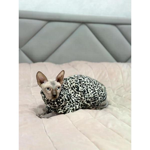 Свитер для животных МОНМОРАНСИ жилет для кошек, леопардовый серый, размер L