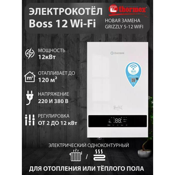 Котел газовый Thermex Thermex Boss 12 Wi-Fi фото