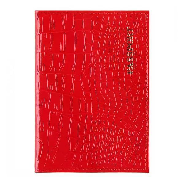 Обложка для документов Brigfut Обложка на паспорт