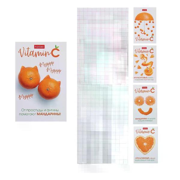 Умный блокнот Hatber Блокнот в клетку 48 листов