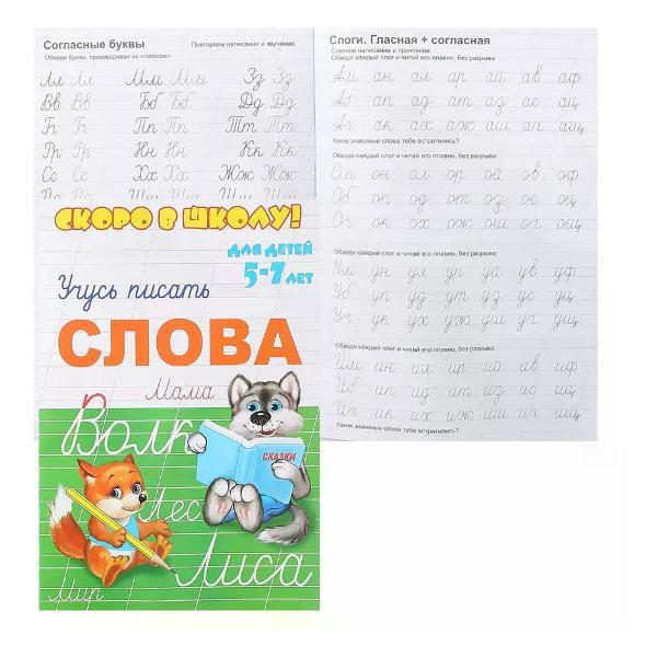 Книга Феникс Прописи для почерка