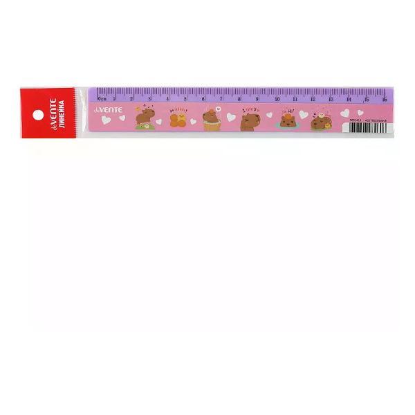 Линейка для черчения Луч Линейка пластиковая 1 шт.