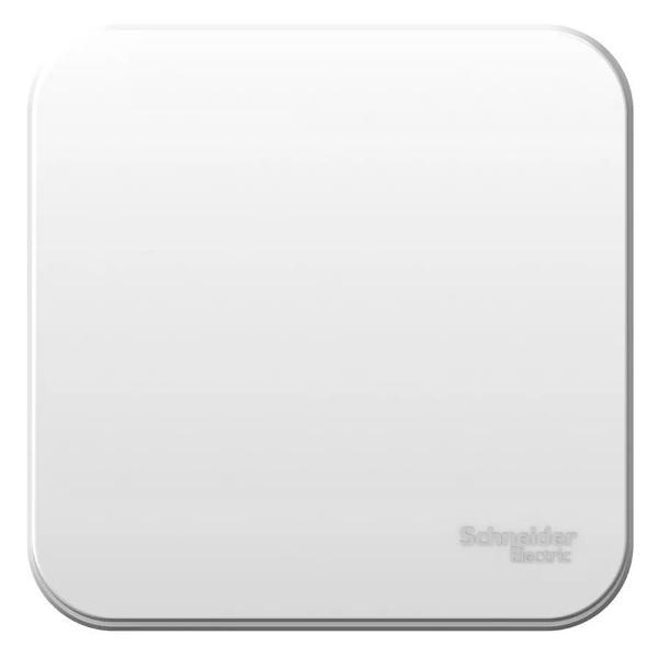 Выключатель механический Schneider Electric Выключатель одноклавишный накладной