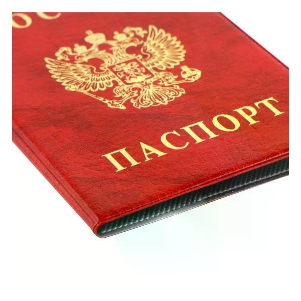 Обложка для документов Дпс Обложка на паспорт женская