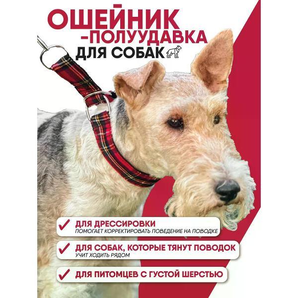 Ошейник Монморанси полуудавка для мелких и средних собак, размер L