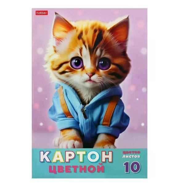 Картон Hatber Цветной картон 10 цветов
