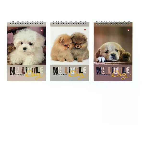 Умный блокнот Альт Блокнот А5 40л клетка