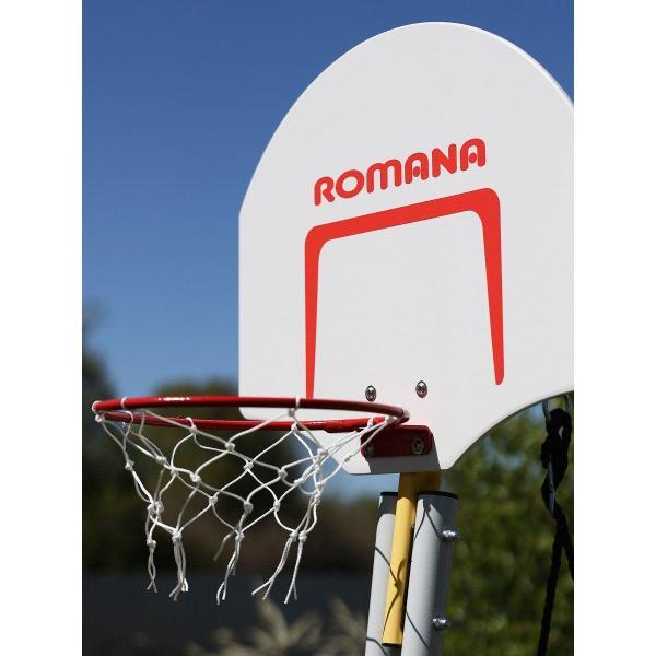 Баскетбольный щит Romana Щит баскетбольный_1.Д-04.03 / стандартный