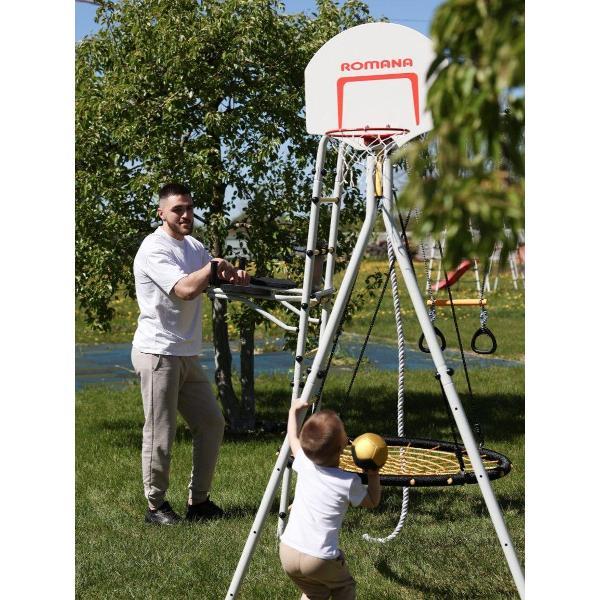 Баскетбольный щит Romana Щит баскетбольный_1.Д-04.03 / стандартный