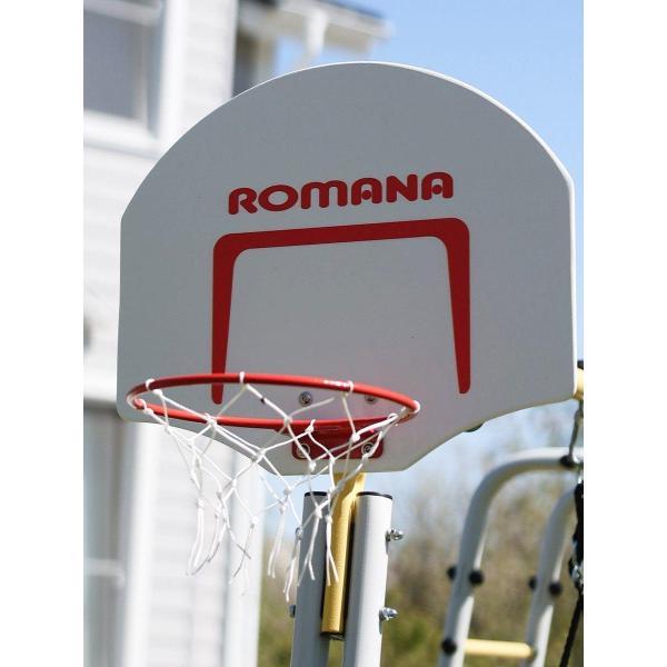 Баскетбольный щит Romana Щит баскетбольный_1.Д-04.03 / стандартный