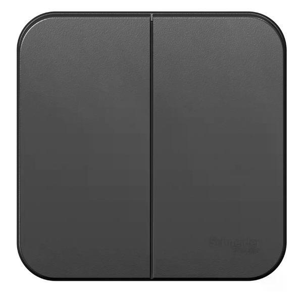 Выключатель механический Schneider Electric Выключатель двухклавишный накладной