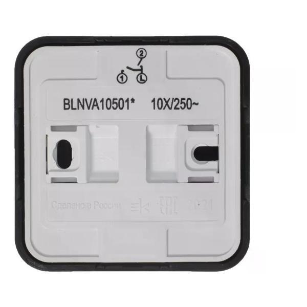 Выключатель механический Schneider Electric Выключатель двухклавишный накладной