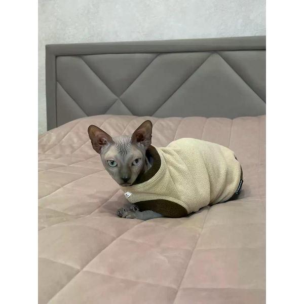 Свитер для животных МОНМОРАНСИ жилет для кошек, бежево-коричневый, размер М